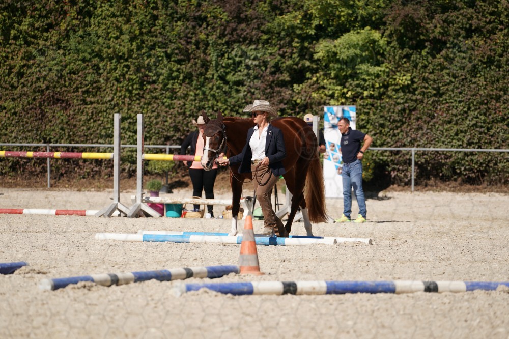 s_A_907731.JPG